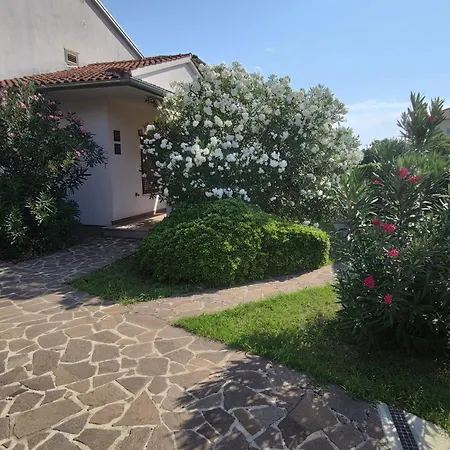 Appartamento Medusa *